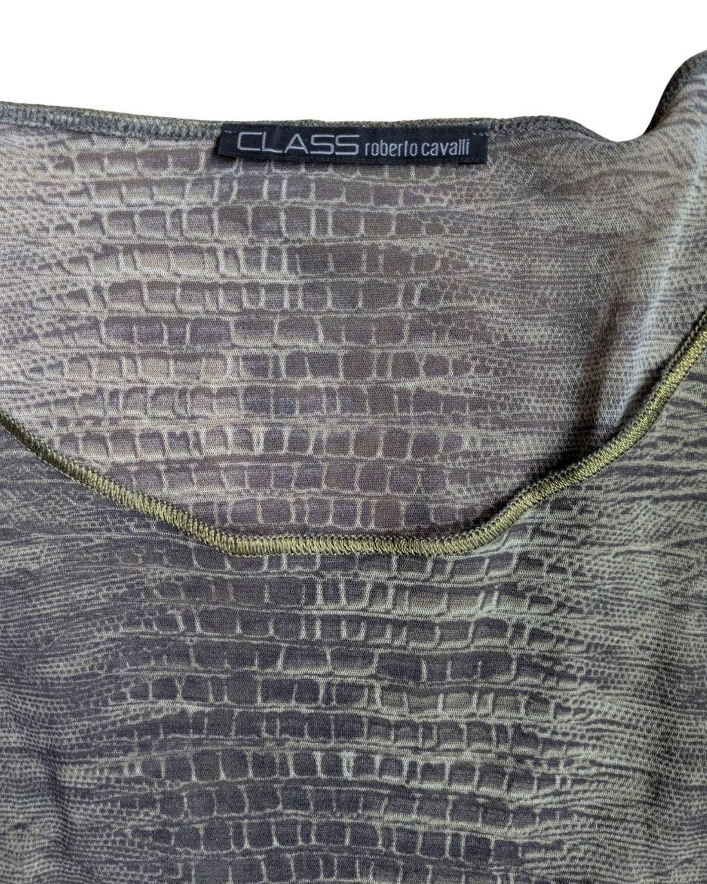 Class Roberto Cavalli S/S 2001 Green Crocodile Print Mesh Top & Wrap Skirt Set