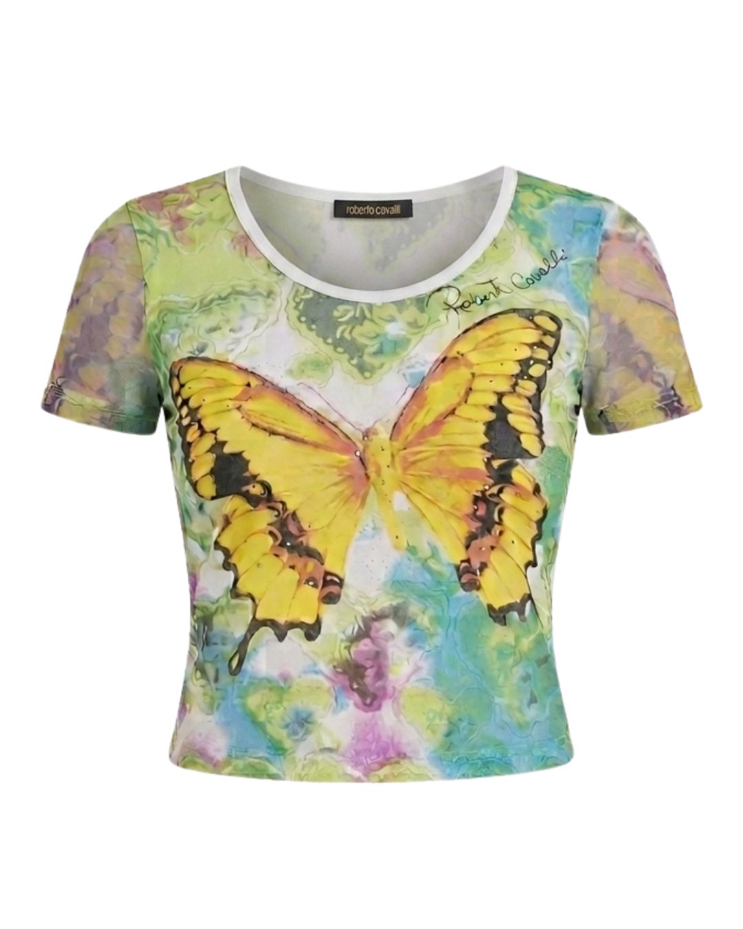 Roberto Cavalli Circa 2000-2002 Butterfly Print Mesh Crop Top — Signed