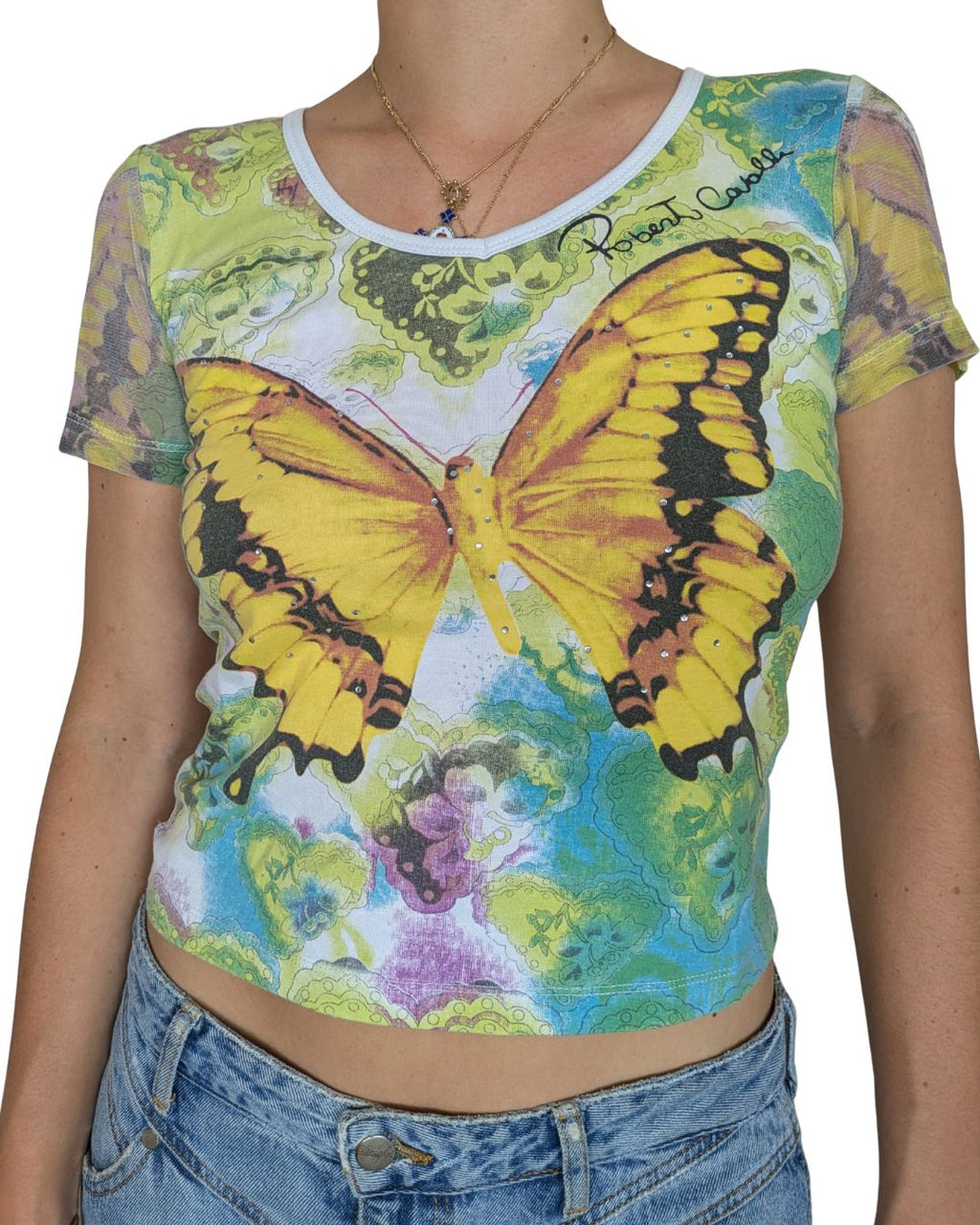 Roberto Cavalli Circa 2000-2002 Butterfly Print Mesh Crop Top — Signed