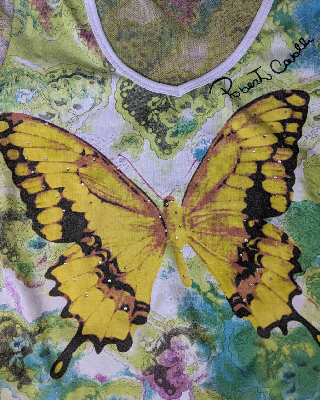 Roberto Cavalli Circa 2000-2002 Butterfly Print Mesh Crop Top — Signed